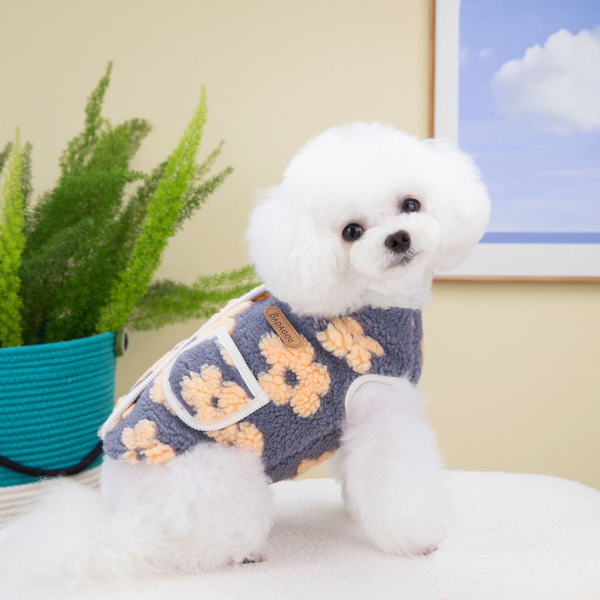 Cat Pet Clothing Winter Five-Petal Flower Velvet Coat