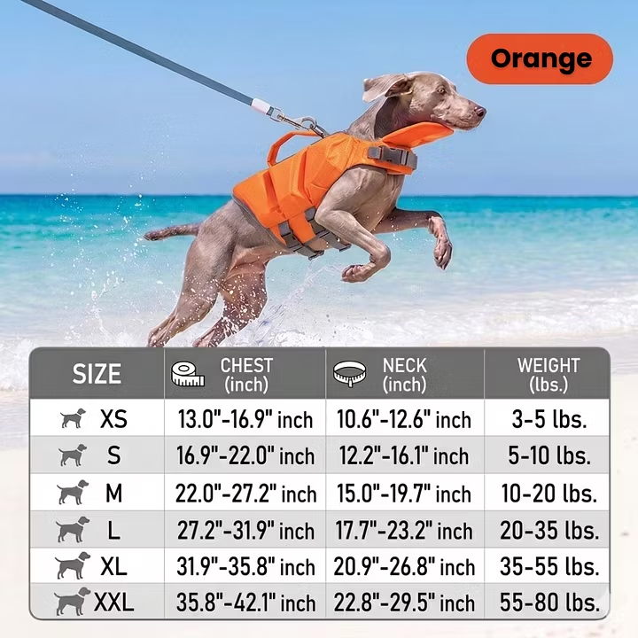 Summer High-Visibility Life Jacket With Bold Color Blocking For Outdoor Swimming