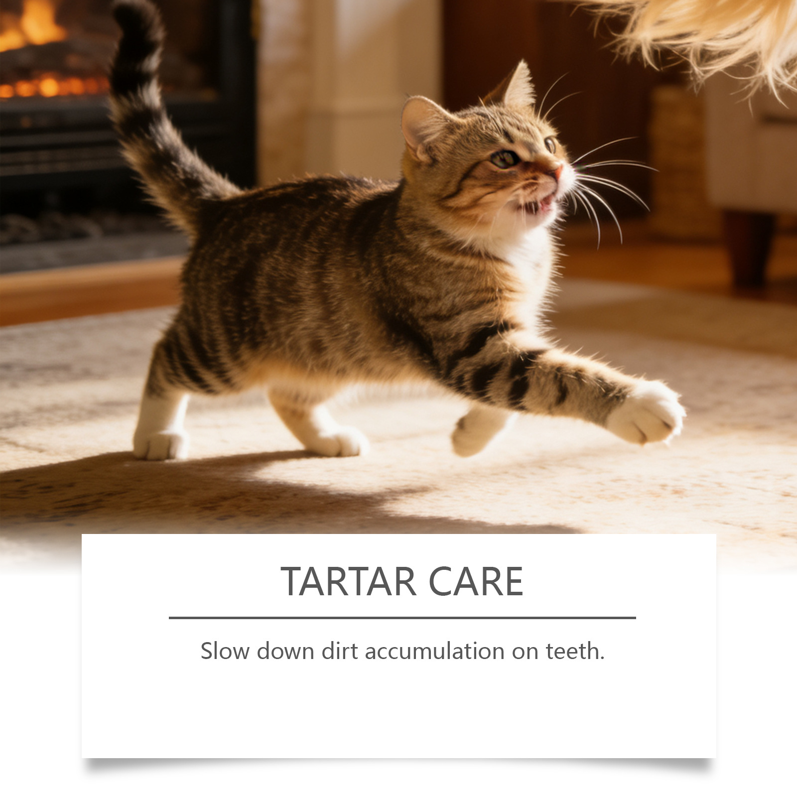 Pet Oral Care Spray