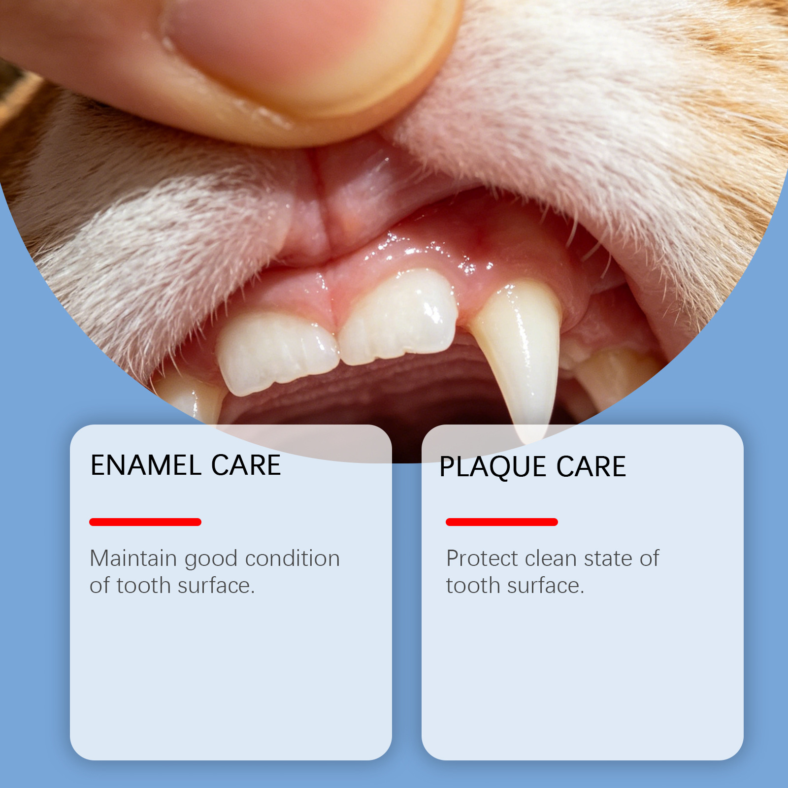 Pet Oral Care Spray