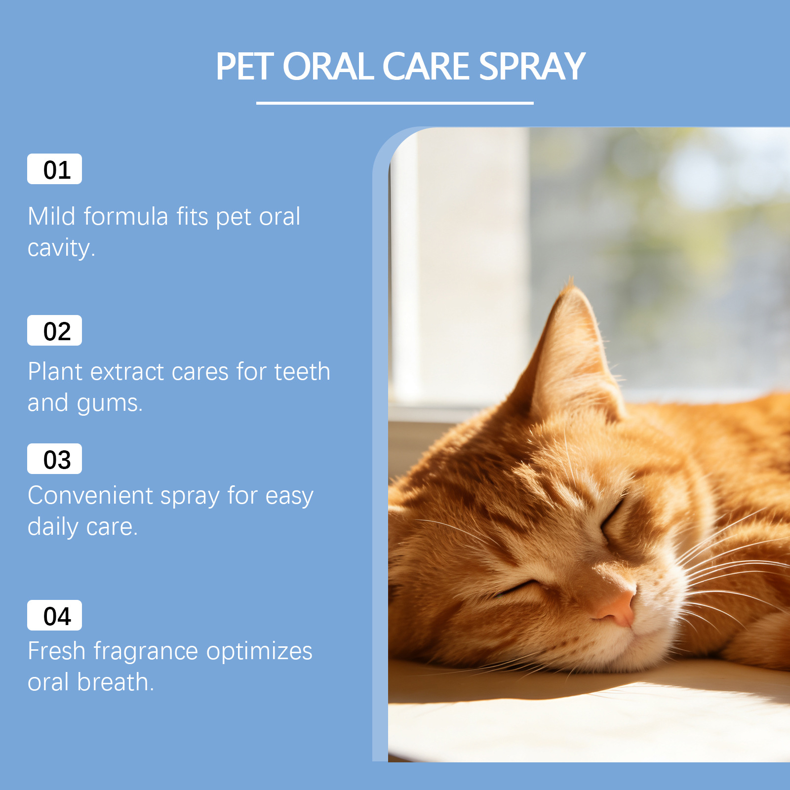 Pet Oral Care Spray