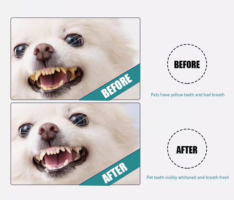 Pet Oral Care Finger Toothbrush Disposable Tartar Remover