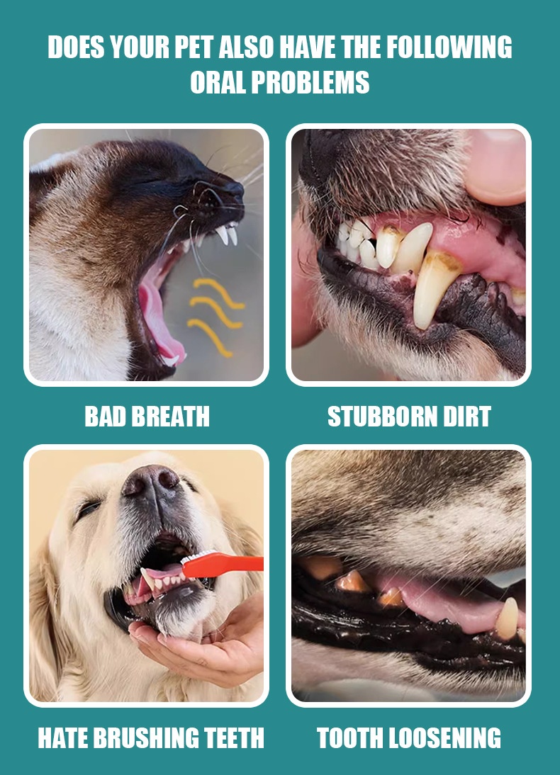 Pet Oral Care Finger Toothbrush Disposable Tartar Remover