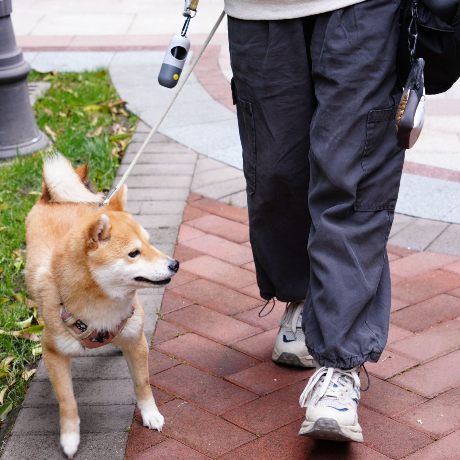Printed Portable Dog Training Bag Set