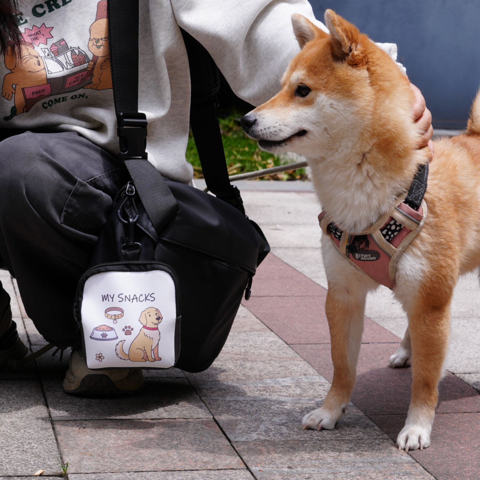 Printed Portable Dog Training Bag Set