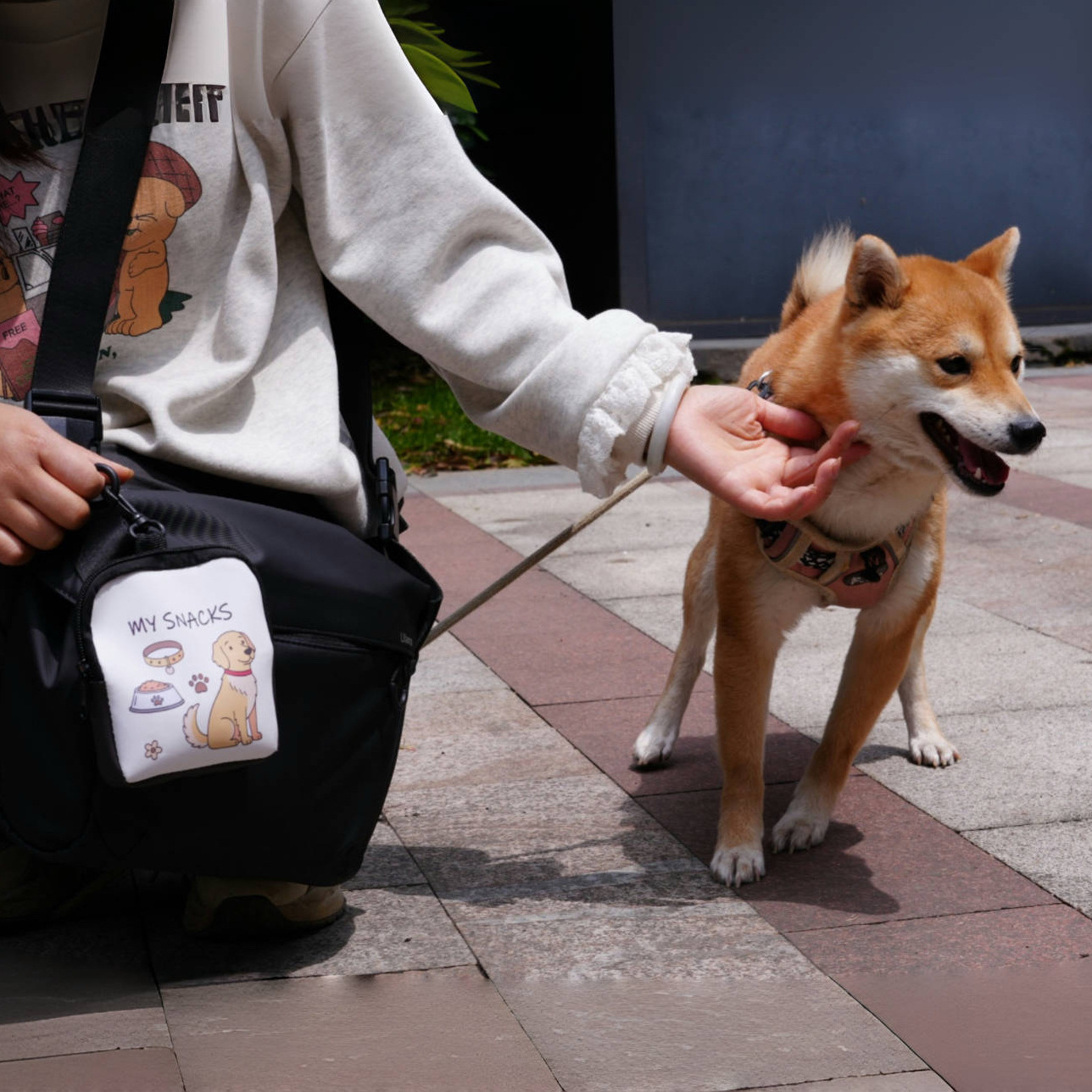 Printed Portable Dog Training Bag Set