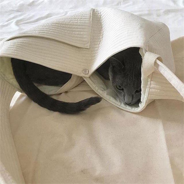 Cat Carrier Pet Backpack For Cats Traveling Outdoors