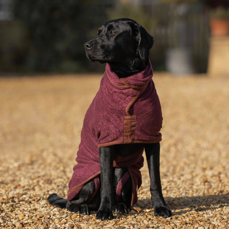 New Three-color Double-layer Microfiber Pet Bathrobe