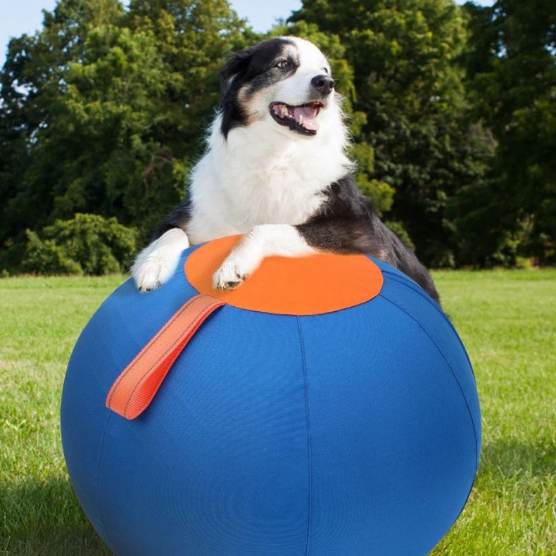 Inflatable Training And Exercise Toy Pet Play Ball