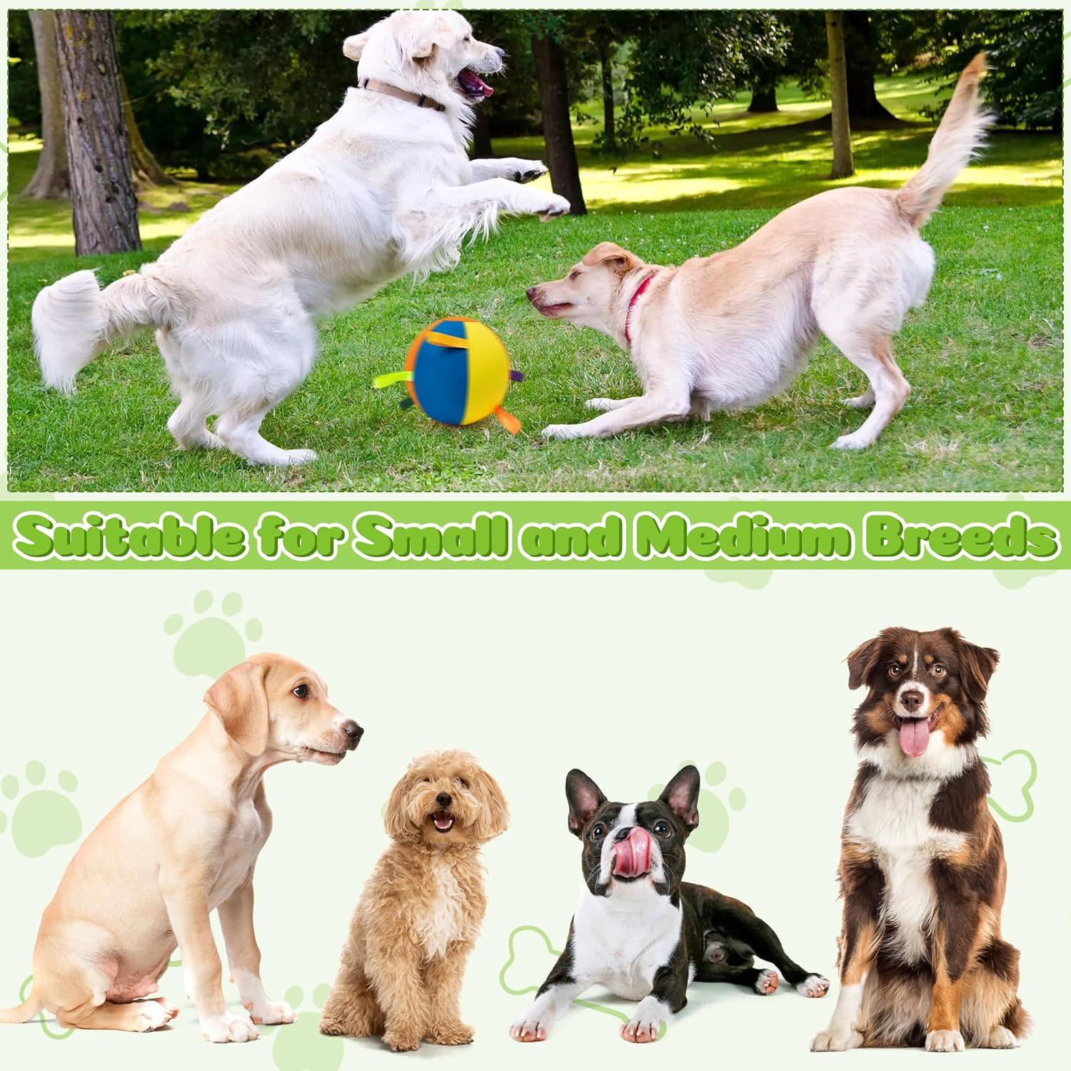 Inflatable Training And Exercise Toy Pet Play Ball