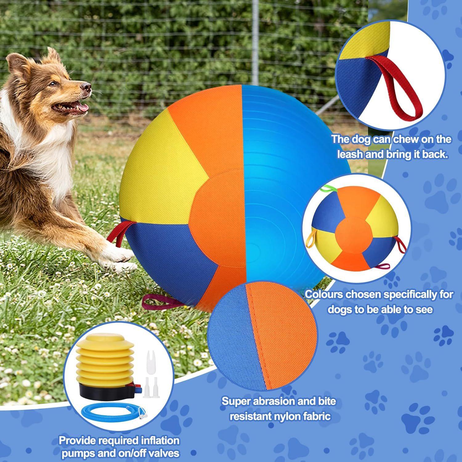 Inflatable Training And Exercise Toy Pet Play Ball