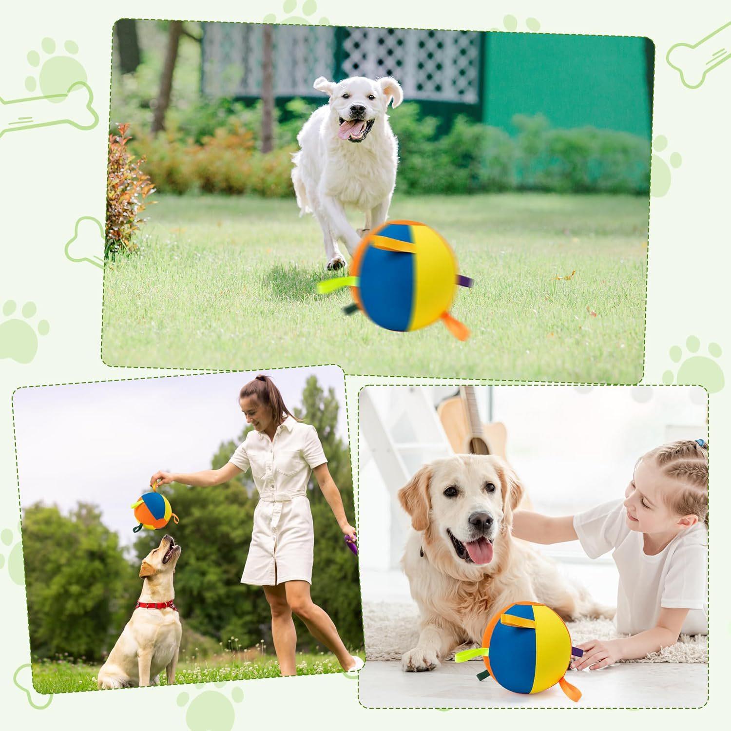 Inflatable Training And Exercise Toy Pet Play Ball
