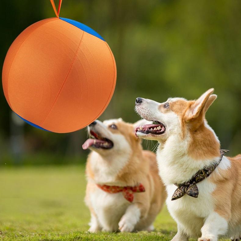 Inflatable Training And Exercise Toy Pet Play Ball
