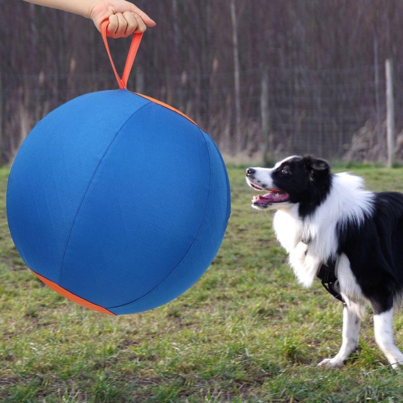 Inflatable Training And Exercise Toy Pet Play Ball