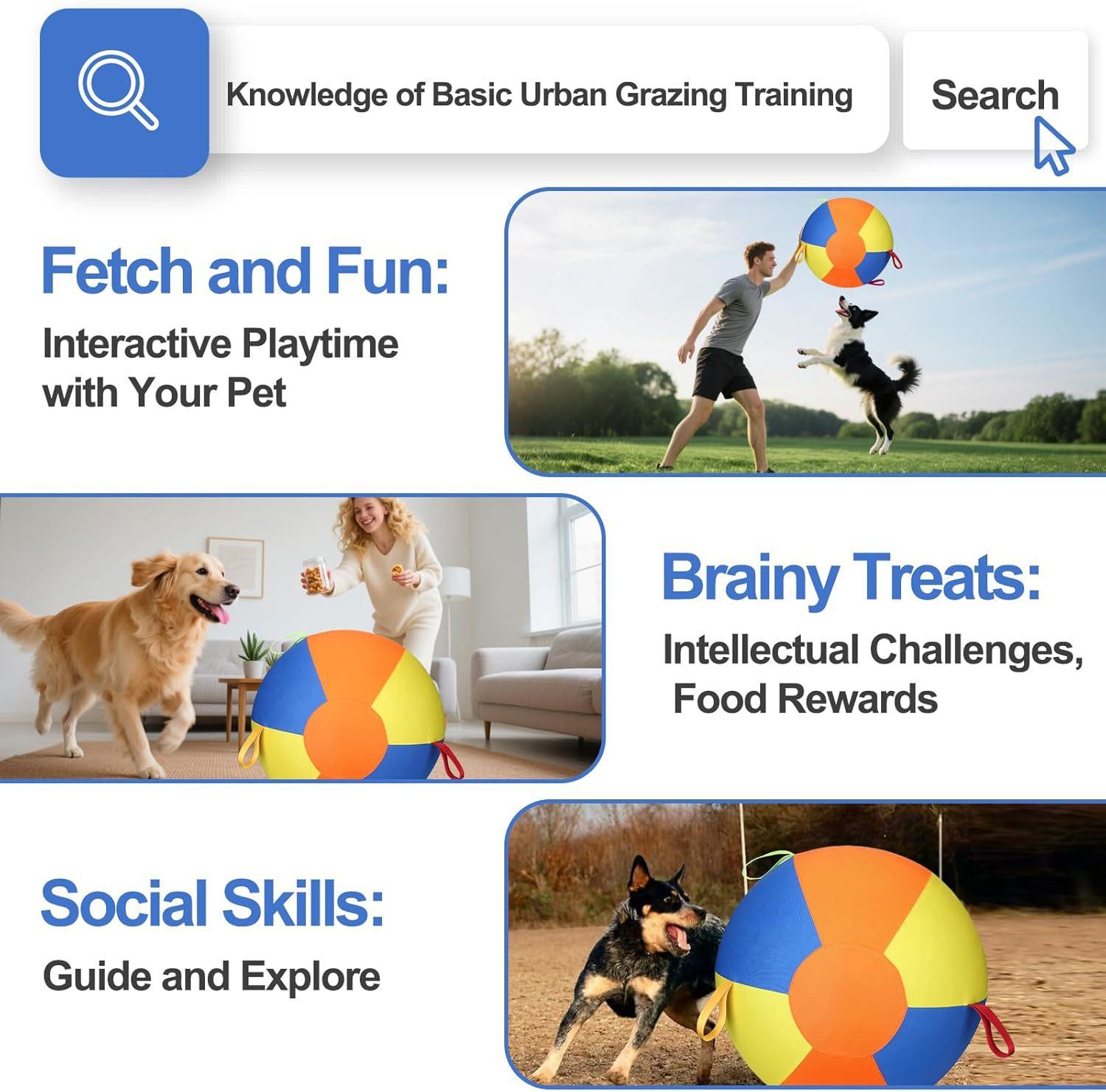 Inflatable Training And Exercise Toy Pet Play Ball
