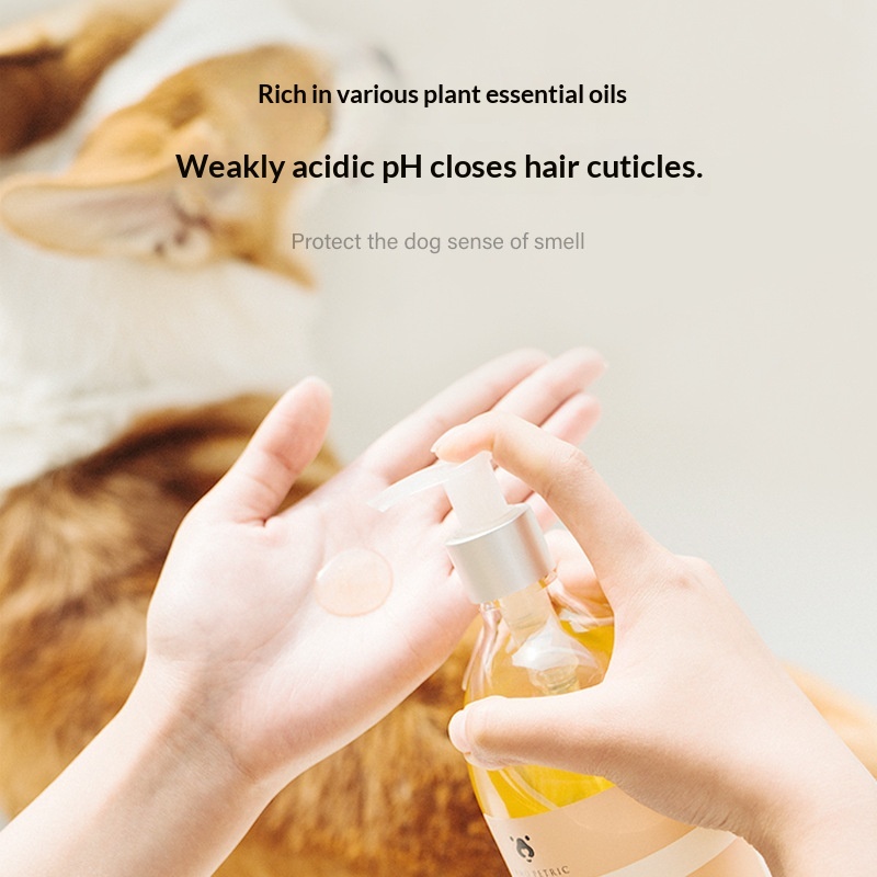 Amber Fir Needle Lightweight Dog Shampoo