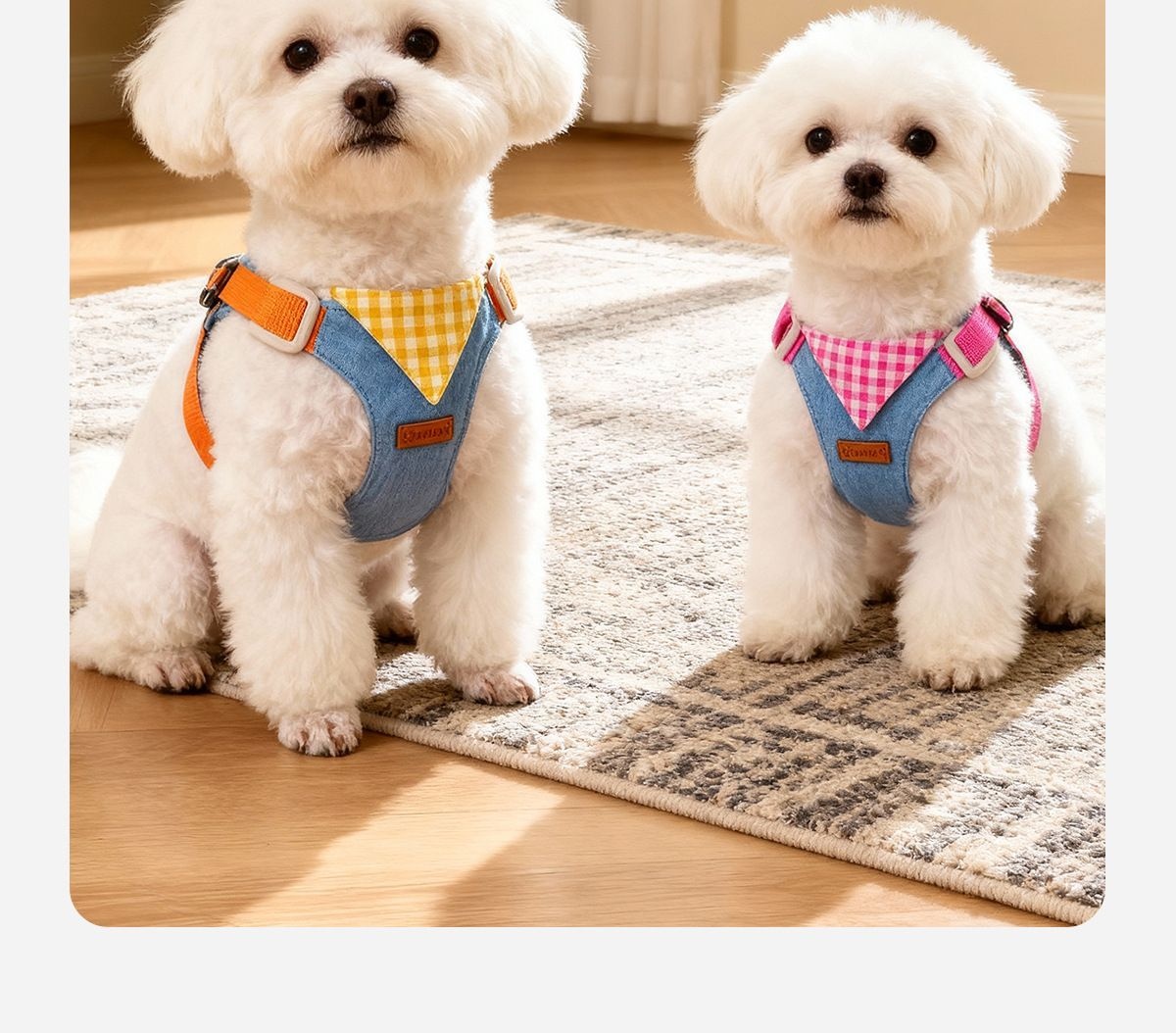 Puppy's Leash Chest Strap Is Not Tight