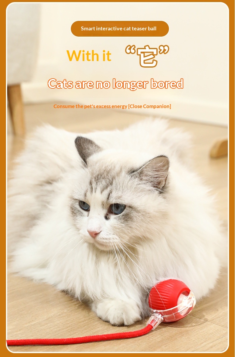 Intelligent Cat Teasing Ball For Cats To Enjoy Themselves And Relieve Boredom Toy